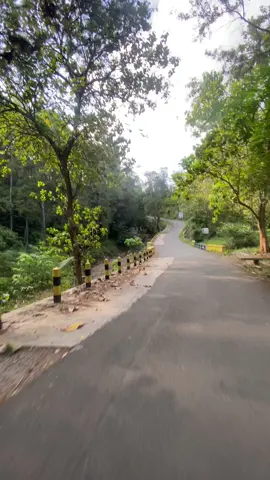 Jalan Wanayasa Karangmaja - Kalireja #fyp #kebumen #karanggayam 