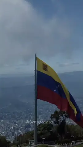 #salsabaúl #josejoseporsiempre #josejose #eltriste #venezuela #libertad 