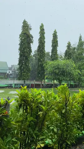 #hujan #fyp #dirumahaja #ppppppppppppppppppppppp #berandafypシviral #dirumah #main 