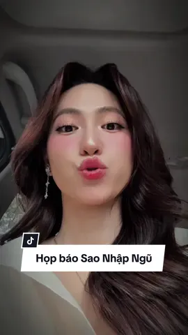 8 đoá hồng thép ra mắt cô chú anh chị ngarrr #PhuongAnhDao #tiktokgiaitri #saonhapngu #fypシ 
