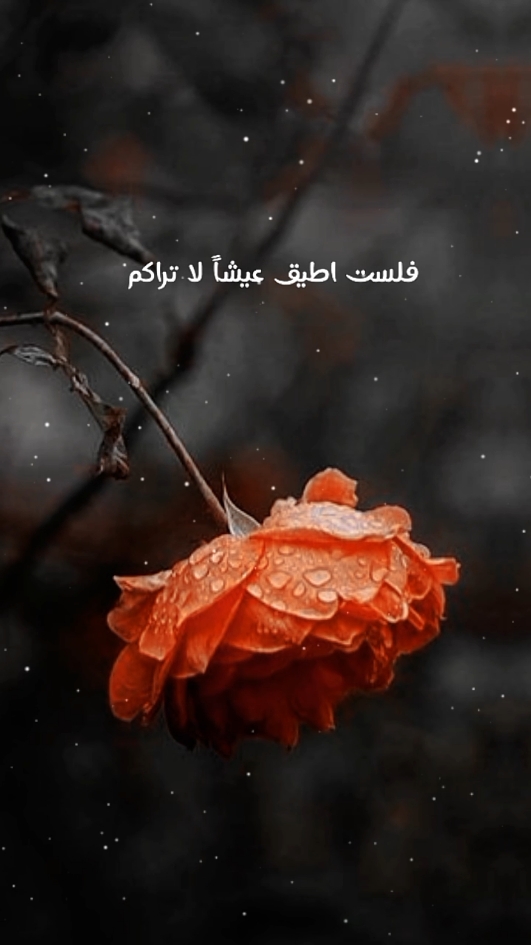 فلست أطيق عيشاً لا تراكم #اناشيد_بدون_موسيقى #اناشيد_متنوعة #لا_اله_الا_الله #محمد_رسول_الله #صلى_الله_عليه_وسلم #فلست_اطيق_عيشاً_لاتراكم #الغوطة_الشرقية  #CapCut 