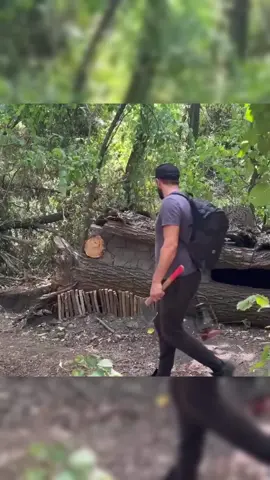 Building a secret survival dugout #bushcraft #build #camp #camping #survival #shelter #wildlife #Outdoors #outdoor #viral #foryou