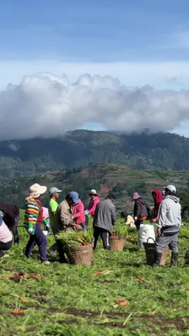 Farmworker Appreciation Day! #CapCut #Buguias #farm #farmlife #igorot #benguet #benguetfarmers #fyp #fypシ 