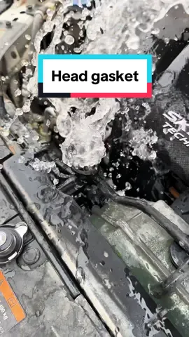 Head gasket leak check #viralvideo #fyp #rizzfixx7 #cars #mechanic 