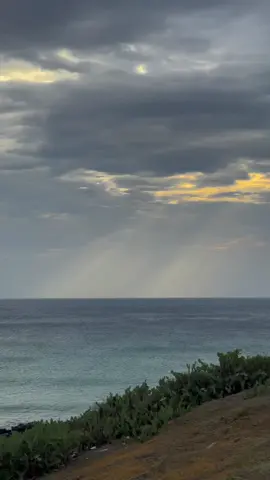 đã từ lâu khi thấy những cảnh tượng đẹp đẽ, như thường lệ tớ lại chắp bút dệt nên những con chữ. sau đó lại tiếc nuối vì chẳng thể gửi tâm tình ấy cho cậu nữa, rồi cuối cùng lại ngậm ngùi vỡ lẽ ra trong sự đau thương.  #fyp #trip #xh #sea 