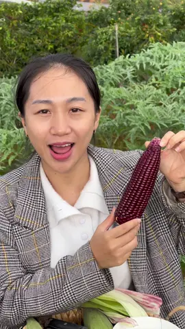 Bắp nữ hoàng ăn sống như trái cây #monlavuonnha #thaomola #bapnuhoangdo 