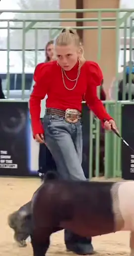 #competition #pig #jackie13 