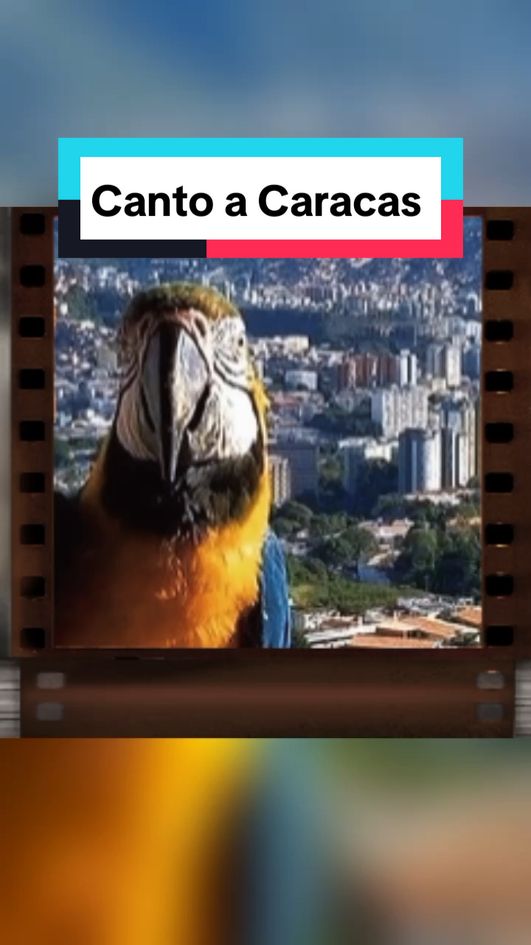 ➡️Temazo➡️ 🎤