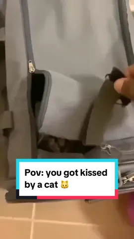 Pov: you got kissed by a cat 🐱 #viralhook #funny #transition  