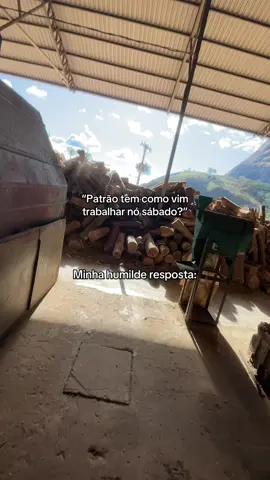 Mi mata de uma vez #fyp #funnyvideos #meme #sabado 