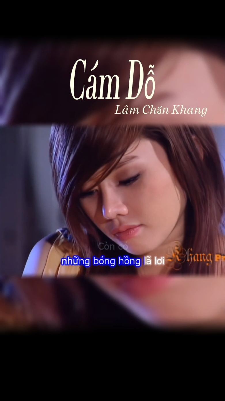 CÁM DỖ - LÂM CHẤN KHANG #nhac8x9xhaynhat #xuhuong2024 #thinhhanh #xuhuong 