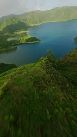 How to train your dragon 🐉