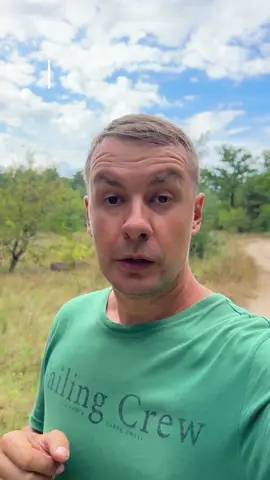 Чи потрібно виходити із Тік Ток після викладання свого відео ? #зайцевартем #експертвтікток #навчаннятікток 