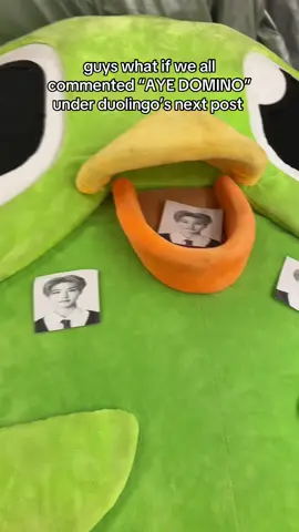 AYE DOMINO 🗣️ #skz #hanjisung #duolingo