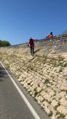 Spiderman🕸️🕷️🍀✨🫠#oublalespacesverts #fauchage #sthil #débroussailleuse #VideoPaysage #vert #espacevert #france🇫🇷 #stihlpowerfull 