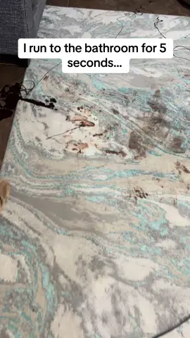 My 2nd child is gonna be the death of me! Chocolate syrup everywhere! Imma just get a new rug😭 #fyp #viral #OhNo