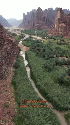 وادي الديسة #تبوك الطريق ممتع وانصح بالزيارة من شهر نوفمبر الى مارس 😍 #روح_السعودية 