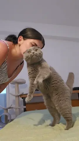 evelinușa alintată🥰🥰🥰🥰