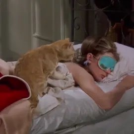 dreaming about nyc #newyorkcity #breakfastattiffanys #katemoss #90s #nyc #drive #taxidriver #brooklynbaby #uptowngirls 