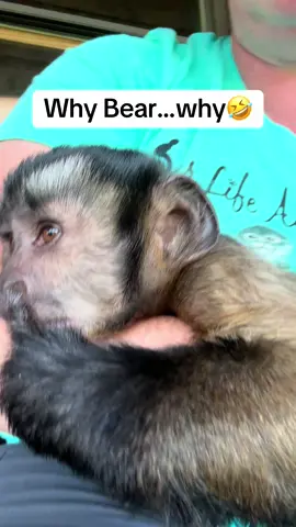 Ole booger Bear is tired🩵