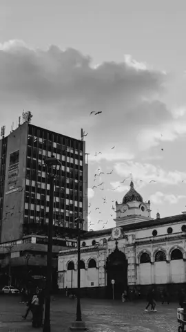 Parque Nariño #pasto  #fy #fotografia #pastonariño #fypシ #nariño #colombia #photography #streetphotography 
