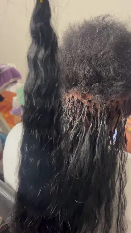 Wet and Wavy Micro Braids! 100% HUMAN HAIR USED! #chicagobraider #bohoknotlessbraids #knotlessboxbraids #bohobraids #microbraids #wetandwavyhair 