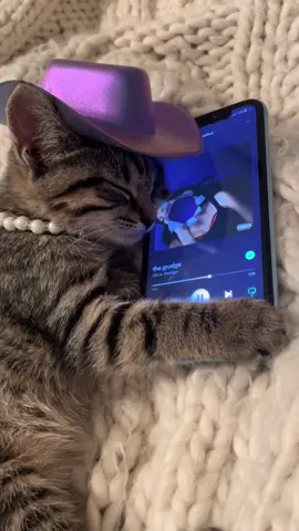 Rory’s playlist pt. 36 @Olivia Rodrigo #oliviarodrigo #guts #thegrudge #musica #cat #catsoftiktok #spotify 