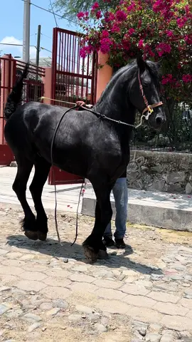 #ftypシ। #luisangel #paratiiiiiiiiiiiiiiiiiiiiiiiiiiiiiii 