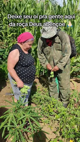 #Nostalgia #casinha #saudade #roça #fy #foryou 