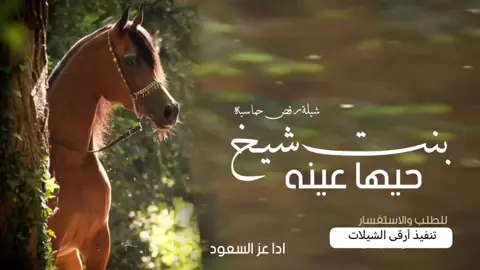 اطلق شيلة رقص للبنات بنت الشيوخ حيها عنيه إدا عز السعود رقص حماسيه 2024 #عروس -عريس-زواج #شيبة -رقص-عريس-حماسيه #شيلةمدح  #شيلات -زوج #تنفيذ -جديده #شيلات -ام-العريس #شيلات -ام-العروسه #شلات -تخرج- #شيلات -تخرج-عسكري- #شيلات -تقاعد #شيلات -مدح #شيلة -توضيف #شيلات -شفاءوسلامه #شيلات -فهد-العيباني #شيلات -مهنا-العتبي  #شيلات -فهد-بن-فصلان- #شيلات -جفران-بن-هضبان- #رقص -عروسه#تنفيذ -بلاسماء🎶🎶-شيلات-رقص-العروس-عروس-متعب-الخيال-مهنا-العتبي-حماسيه-رقص-للعروسه-شيلات-عريس-شيلات-تخرج-شيلات-ملكه-عقد-قران-شيلات-تقاعد-شيلات-تخرج-عسكريه-شيلات-سعد-محسن-شيلات-عبدالله-البرازي-شيلات-فهد-العيباني-2024 #شيلة #رقص #مهنا #صوت -متعب-الخيال-شيلات-رقص-عروس-شيلات-حماسيه-متعب-الخيال-شيلة-قومي-العبي-جديده-متعب-الخيال-حماسيه-شيلة-مدح-عروس#شيلات -عروس-حماسيه-شيلات_للعروس-مدح-حماسيه-شيلات-عروسه-جديده-شيلات-مدح-شيلات-زواج-شيلات-رقص-شيلات-عدعيد-الفطر-شيلات-عيد-الاضحي-شيلات-رمضان#للطلب_واتساب_لرقم_موجود_ب_لصفحه 