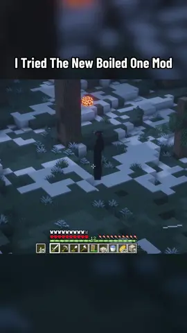 Full YouTube Video In My Bio #Minecraft #theboiledone 