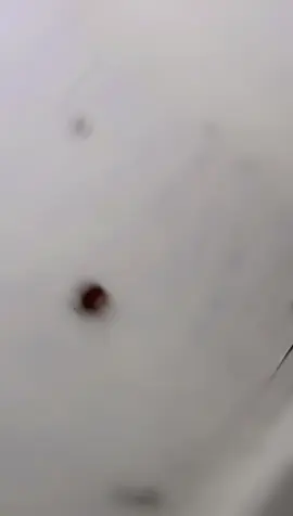 #tiktok #foryou #🚭para🫵🫵🫵🫵🫵 #😈😎 #rajpoot❤️❤️👈 