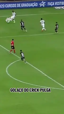 GOLAÇO DO ERICK PULGA !!! 🙏🏁