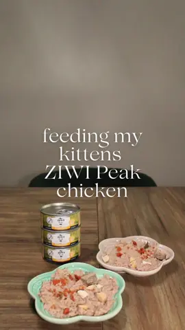 feeding my kittens a meal using ZIWI Peak chicken recipe! 🔗 refer to the link in my bio and use the code “B1G1CAN” to buy one case and get one free of the 3oz case of 24 cat canned recipes. The code expires August 31. @ZIWI Pets #ZIWI #ZIWIPartner #ZIWIPets #ZIWICans #ZIWICatRecipes #betteryourbowl #wetcatfood #feedmycat #catcare #catfoodrecommendation #catfoodrecipe #catfoodrotation #catfoodtips #catcaretips #catdiet #catmealprep #catfood #fyp #catnutrition #felinenutrition #whatifeedmycat #whatmycateats #whatmycatseat #obligatecarnivore #catsoftiktok #kittensoftiktok #catlife #fyp #blackcatsoftiktok #blackkitten #blackcat #cat #cattok #catlover #catlife #cats #catlove #catparent #catlover #catmom #catmomlife #feedmycatswithme #catfeeding #cateating #petcat #bestcatfood #indoorcat #foodforcats #domesticcat #catfoodprep