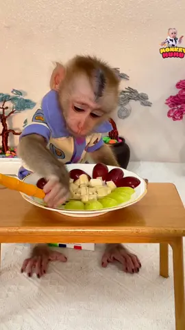 #MuMumonkey #trend #animalbaby #animals #babymonkey #cutemonkey #monkeydluffy #babyanimal #monkeywild #monkeybabychallenges #monkeykaka 