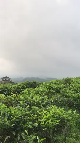 hahaha😂#tasikmalaya#taraju#cisanta#fyppppppppppppppppppppppp 