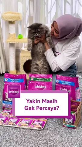 Pawrent masih beli makanan kucing satuan?🤔  Lebih hemat dan praktis beli paket makanan kucing aja! 🎁 Yuk, cek penawaran spesial 8.8 di keranjang kuning sekarang🐱 🐾 #whiskas #Catfood #whiskasindonesia #rekomendasimakanankucing 