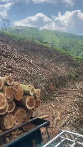 Cuộc đời thất bại thì làm lại 