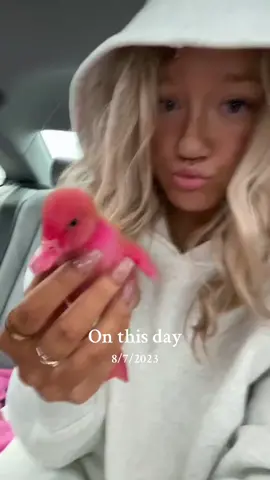 Aw i miss my duck #onthisday 