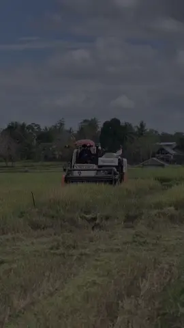 Biarmi mobil tua, yg pnting banyak lokasinya 😅😅 @ABF.gabah.basah.03 #fyp #fypシ #gabahbasah #cctvcombinesulawesi #kubotadc70plus #bugisbone 
