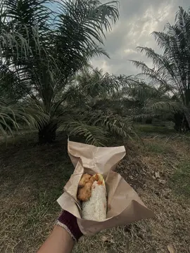 #CapCut #sawitontiktok #kebunsawit 