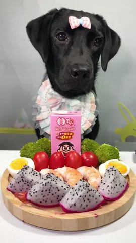 #labrador #Foodie #pets #dog #cute 