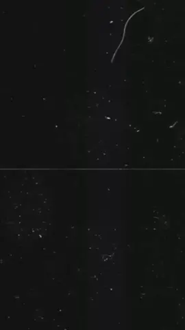 #CapCut 