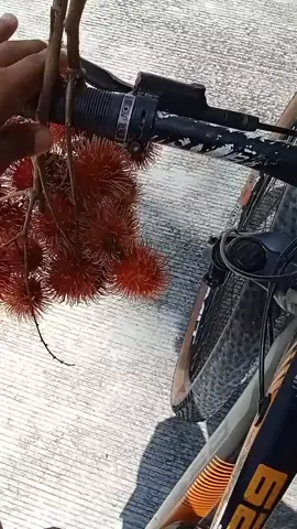 sorry po sa my ari na damay lng po ako #rambotan #fypシ゚viral #fypシ 