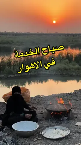 الخدمة لزوار الامام الحسبن من قلب الاهوار  #احمد_ضاحي  #ahmed_dhahi 