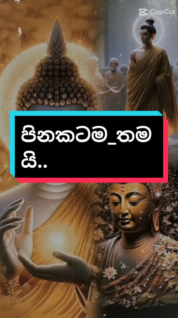 බණක් අහන්නත් සන්සාරයේ පිනක් කරලා තිබිය යුතුමයි.දේශකයානෝ-welimada saddaseela thero. #සම්පුර්ණ_කතාව_අහලා_බලන්න #එන්න_ධර්මය_දකින්න #ධර්ම_දානයක්ම_වේවා #සියලුම_දෙනාට_බුදු_සරණයි #වයරල්_කරමු #buduguna #budubana #foryoupage #foryouofficial #foryou #10milionviews #tiktok #viral_video #viral @Jayani Gamlath95 ♡ @✨️🔻Nalika🔻✨️ @ᘝᘞ☸️☘️Daham Hada☸️☘️ᘝᘞ @dinesh @Jithmi Ashirna 