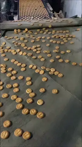 Biscuits Factory Making #biscuits #making #factory #Process #amazing #work #foryoupage #foryou #fyp 