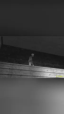 Down the stairs I go, very low#game#fyp#gaming#viral