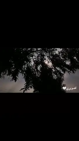 تصـويـࢪي🖤#كيان_ #CapCut #هاشتاقات_تيك_توك_العرب 