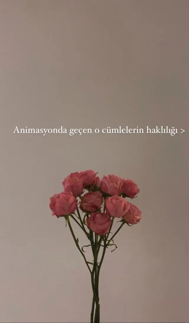 #alıntı #şiir #animasyon #ölügelin 